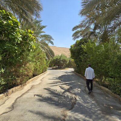 ٢٠٢٥٠٩١١_١٢٥٨٢٣.jpg