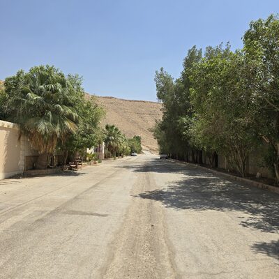 ٢٠٢٥٠٩١١_١٢٥٢٥١.jpg