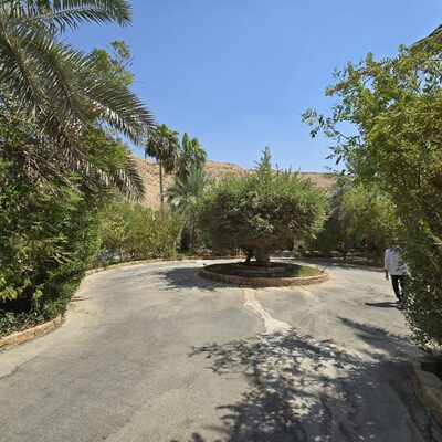 ٢٠٢٥٠٩١١_١٢٥٨٣٧.jpg